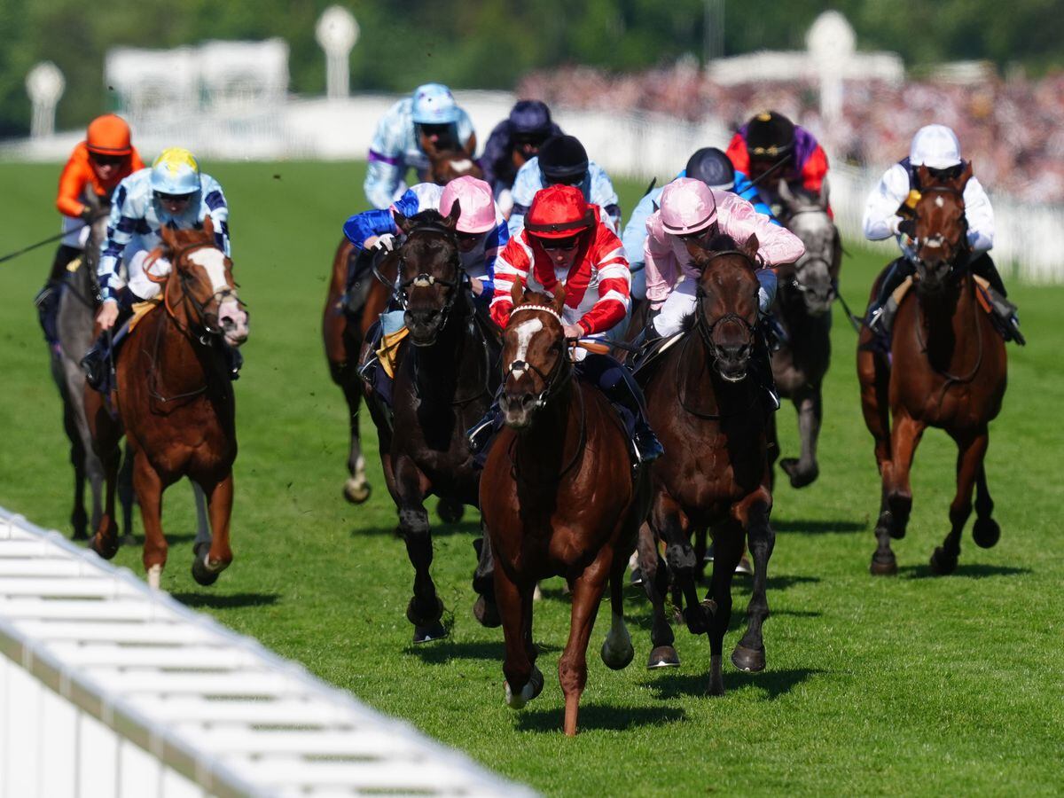 BBC Radio 4’s Today programme scraps daily horse racing betting tips