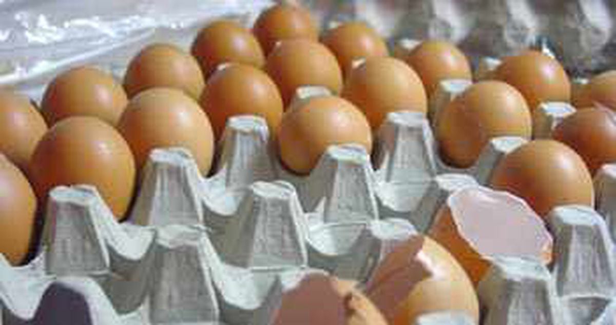 egg farm on s bricksmith rd ft pierce fl