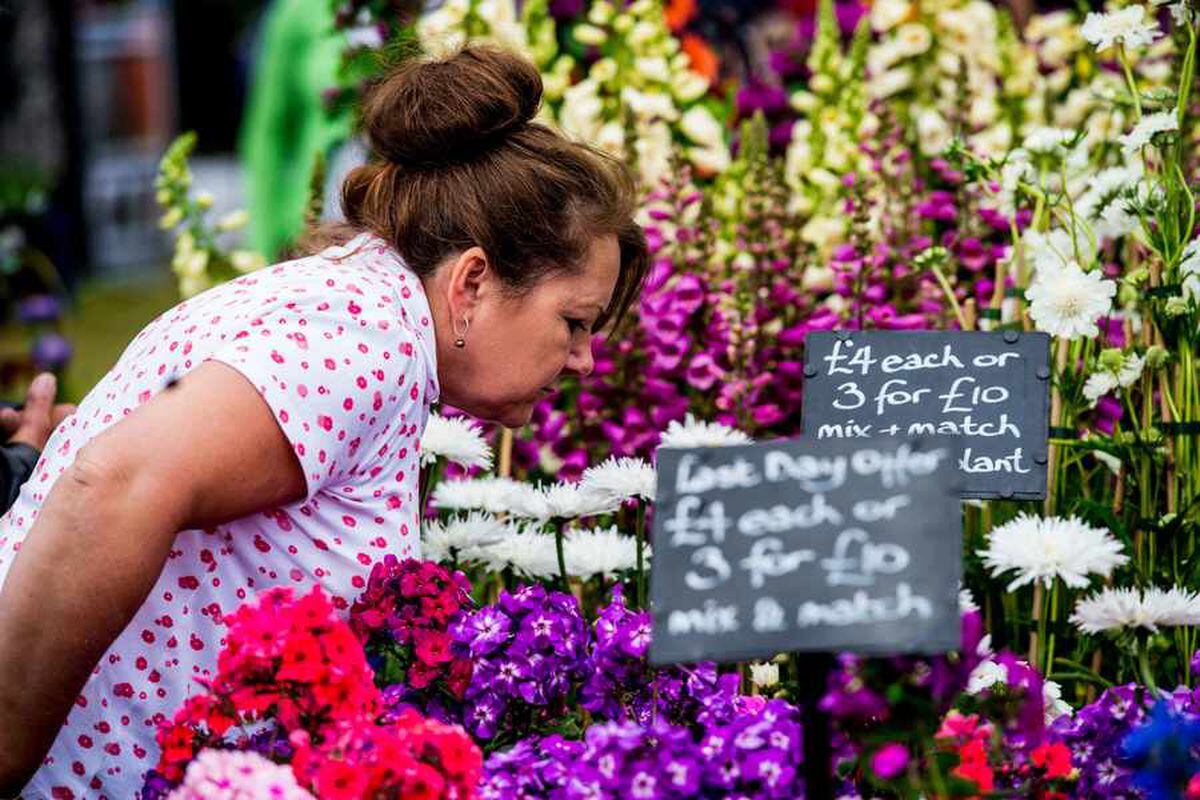 PICTURES Thousands attend second day of Shrewsbury Flower Show