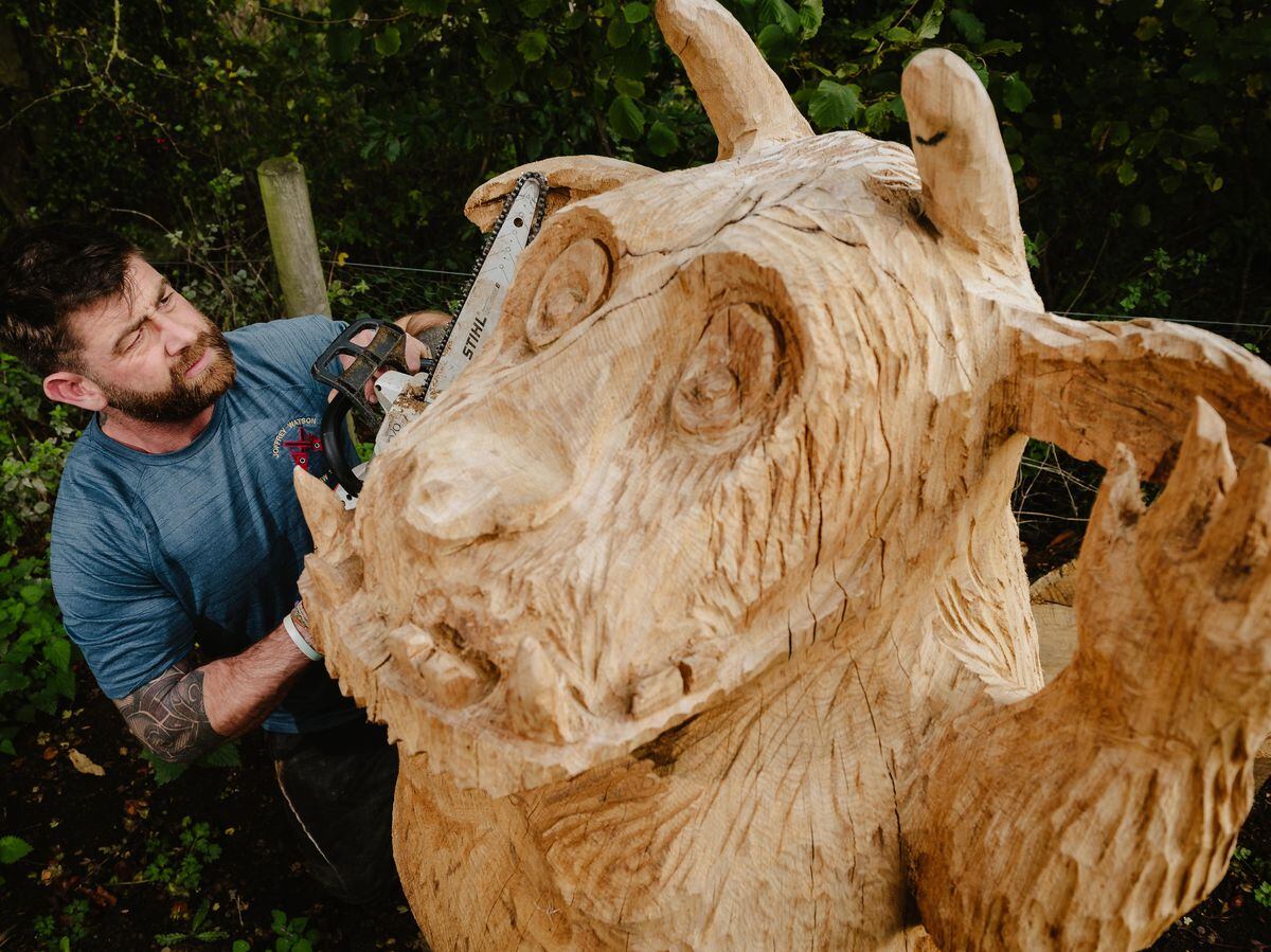 Joffrey Watson, known as The Chainsaw Bloke, has been commissioned to carve a Gruffalo Trail for the woodland area of Severn Hospice Shrewsbury