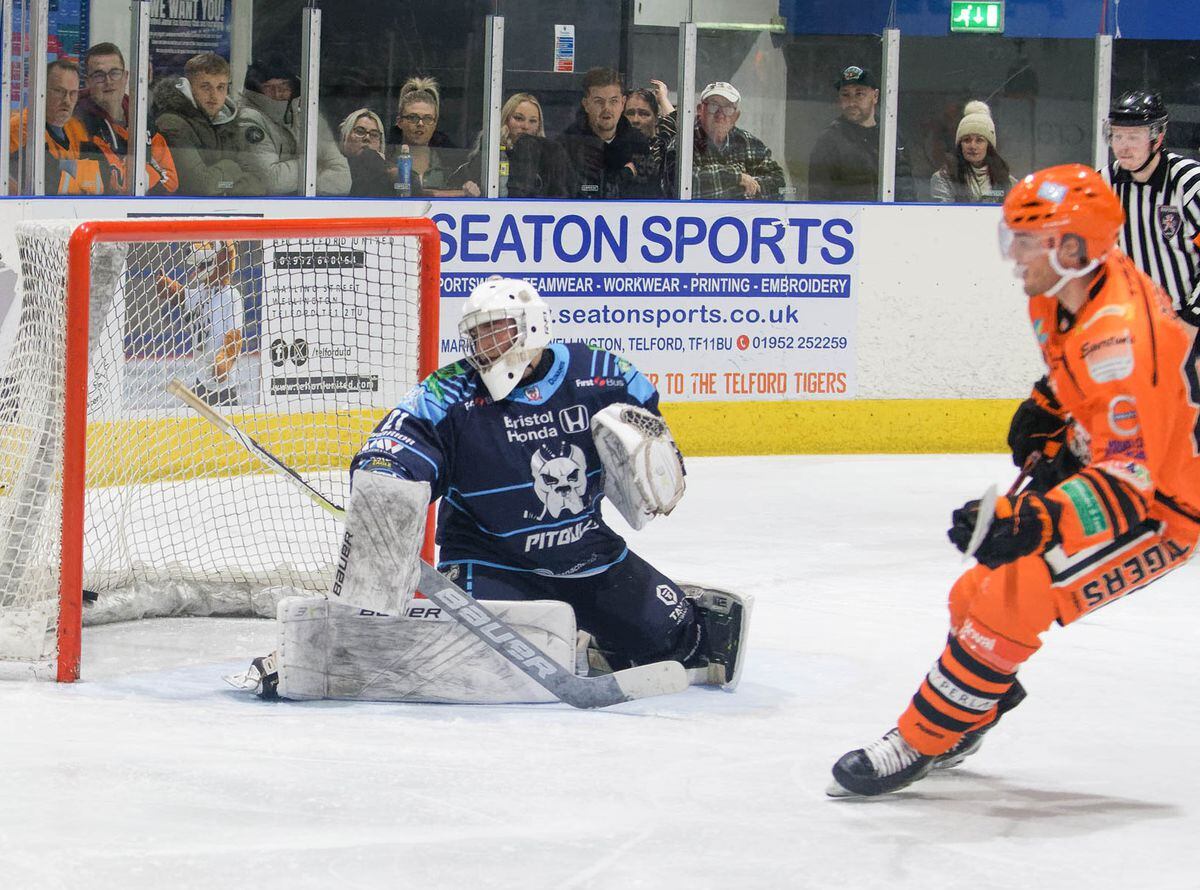 Perfect ten as Telford Tigers roar back to sink Sharks | Shropshire Star