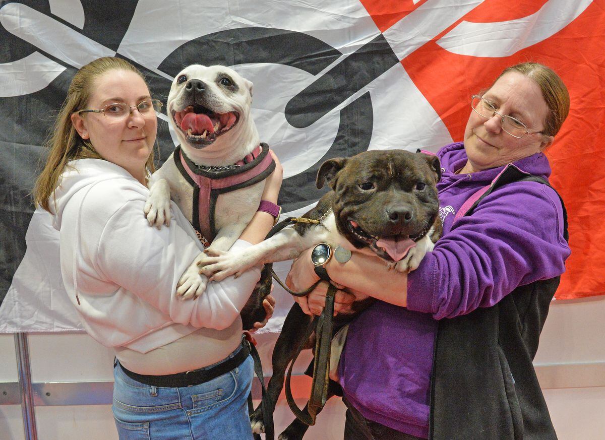 Community and competition the key as Crufts crowds brave the snow for