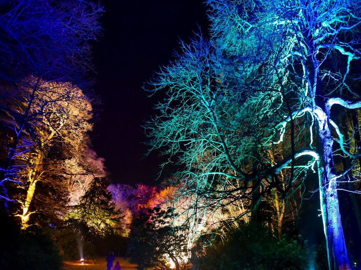 Illuminated trails and winter walks this festive season at Weston Park