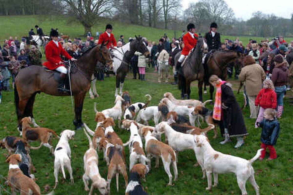 Foxhunting repeal put on hold | Shropshire Star