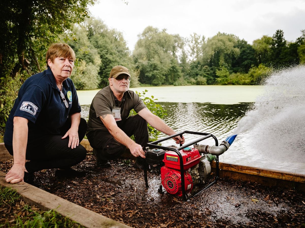 Monumental' work needed after 'environmental disaster' at popular fishing  pool