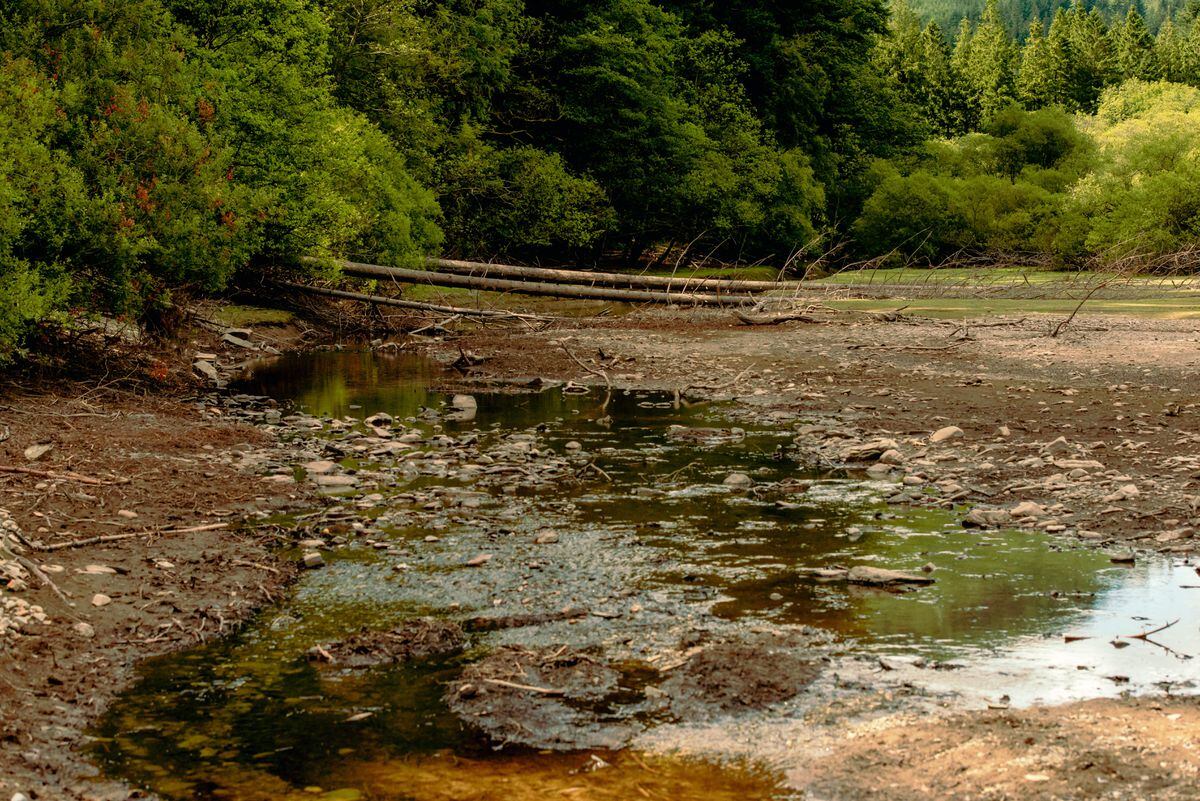 Bring on the rain! Photos reveal region's dried-up lakes and rivers ...