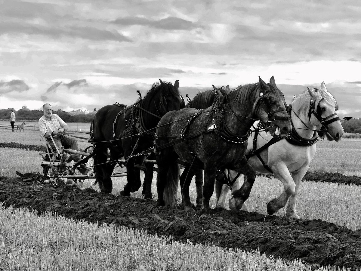 Farming in the frame for special calendar | Shropshire Star