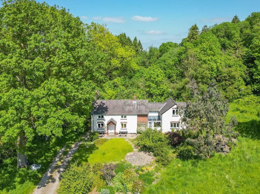 Buy Your Own Bluebell Wood In South Shropshire With An Extended Cottage 