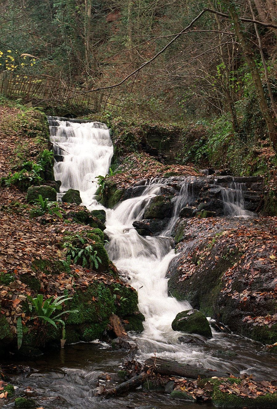 How a Shropshire village's secret beauty was blown open to visitors ...