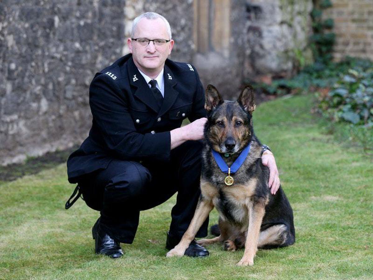 Britain’s Got Talent viewers ‘sobbing’ after hearing retired police dog ...