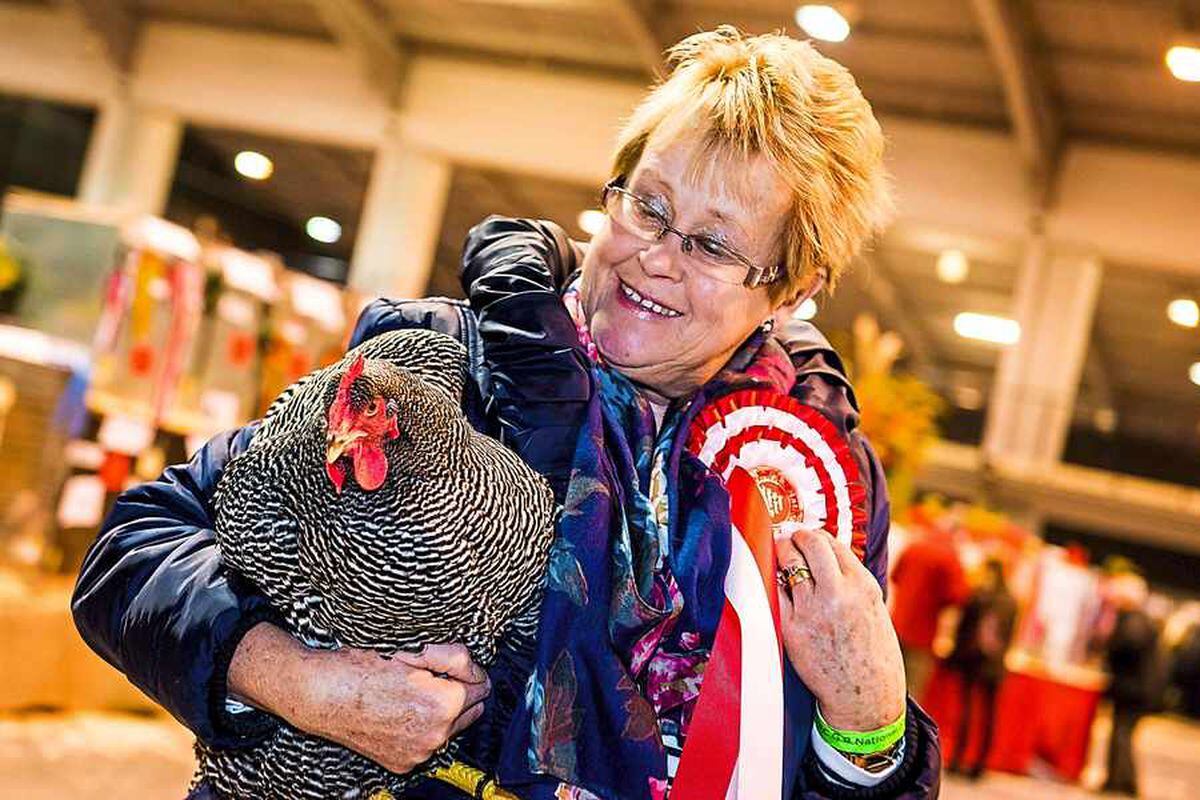 Thousands attend National Poultry Show in Telford with pictures and