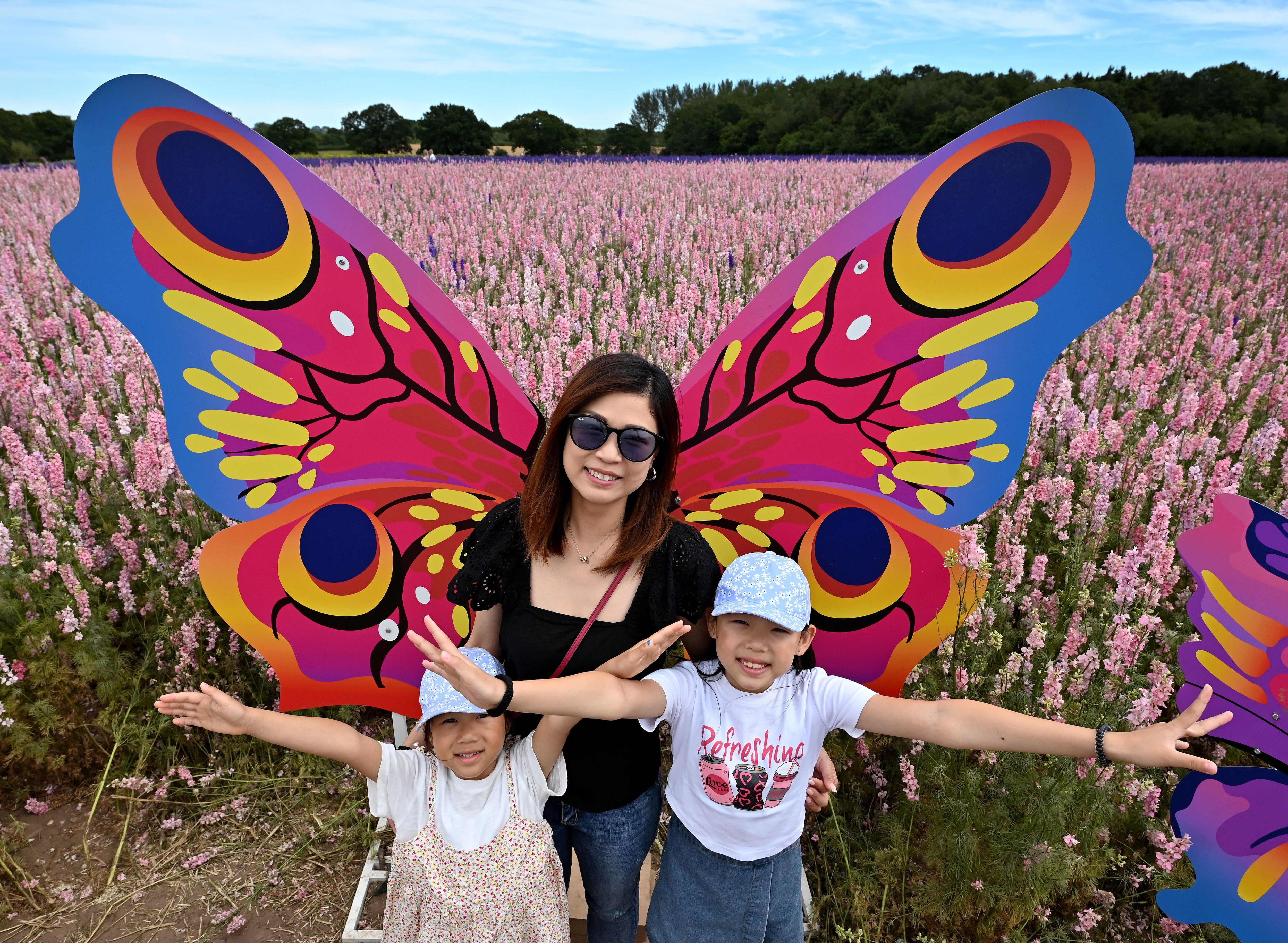 'It has been phenomenal!' Beautiful weather sees visitors flock to see blooms for open event