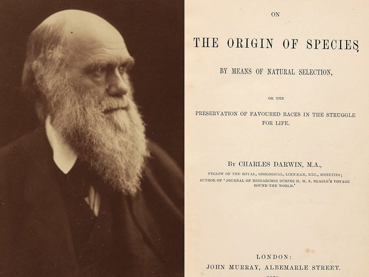 Rare first edition of Darwin’s scientific masterpiece auctions for £