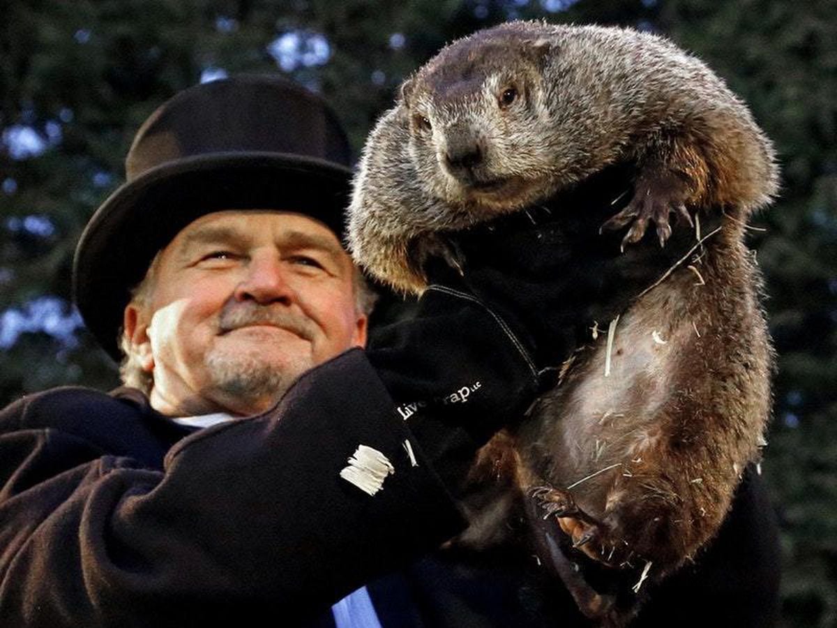 groundhog day is celebrated in both the us and canada