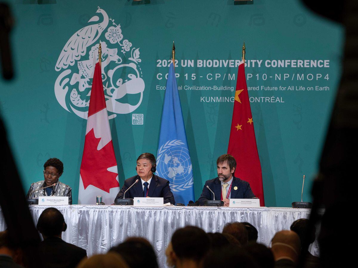 Cop15 in Montreal