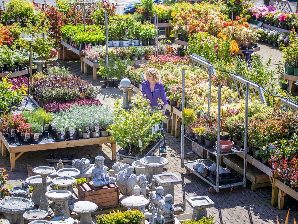 plant-lovers-so-happy-to-get-out-to-garden-centres-as-lockdown-eases