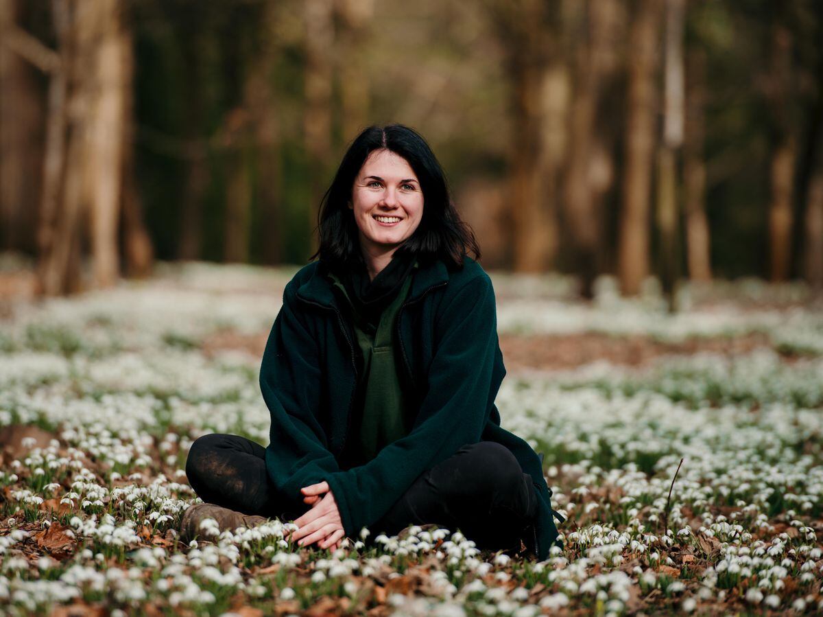 Spring is on its way as snowdrops bloom at Attingham Park | Shropshire Star