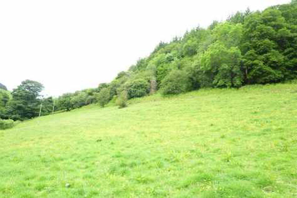 Smallholding and land due to be auctioned in North Wales Shropshire Star