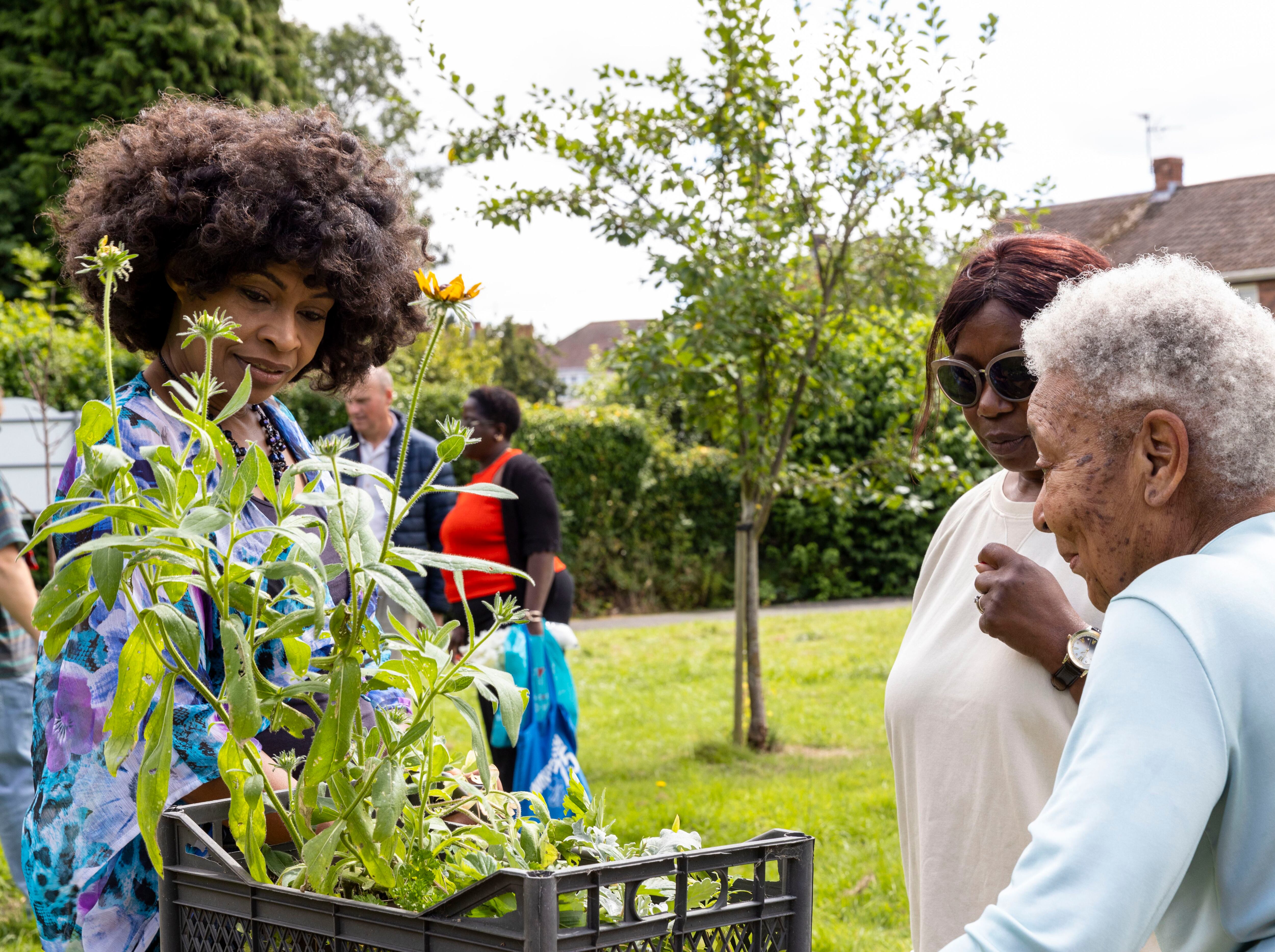 Abandoned plot of Telford land transformed thanks to hardworking volunteers