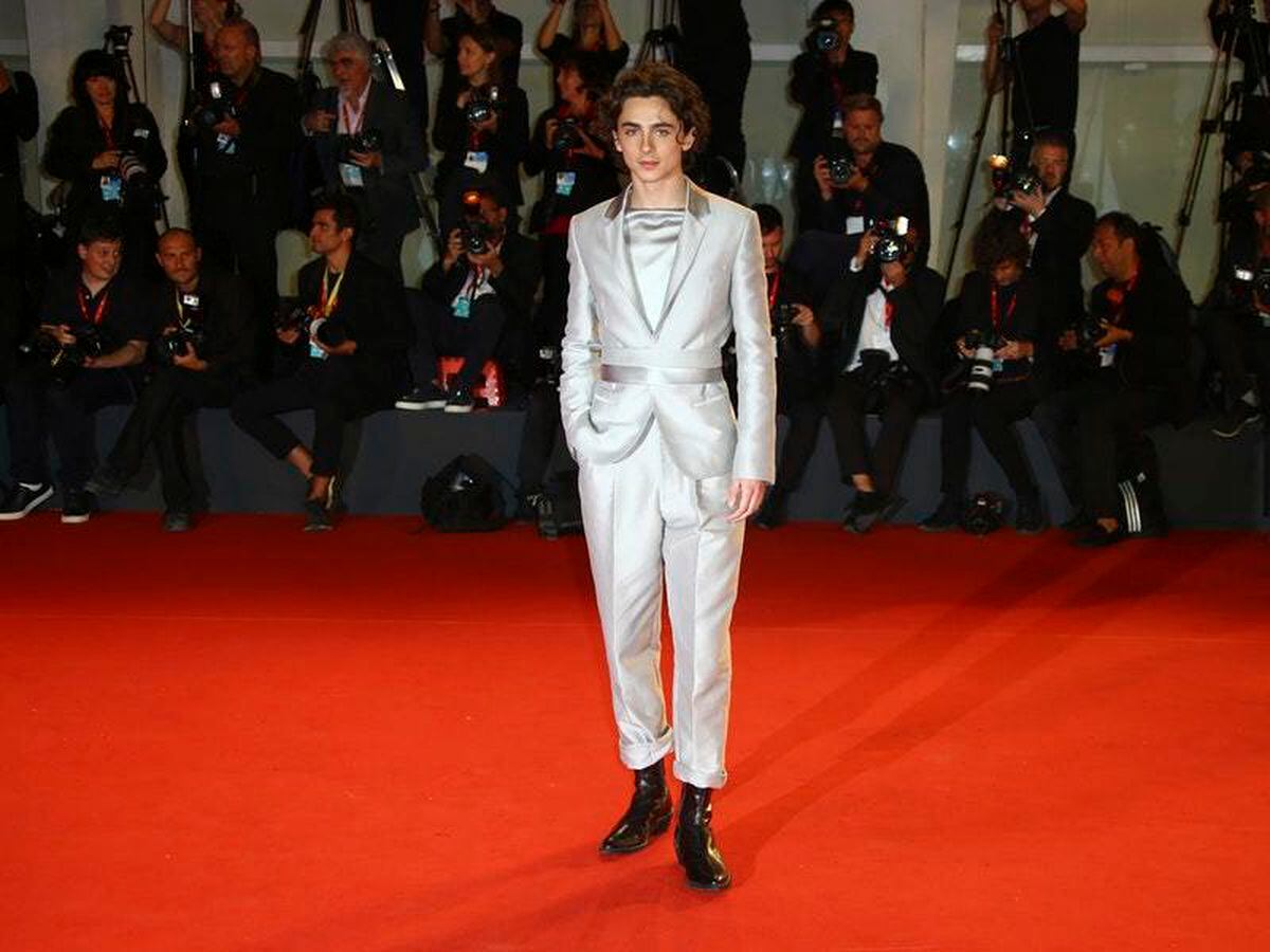 Timothée Chalamet Returns to the Red Carpet in a Very Shiny Suit