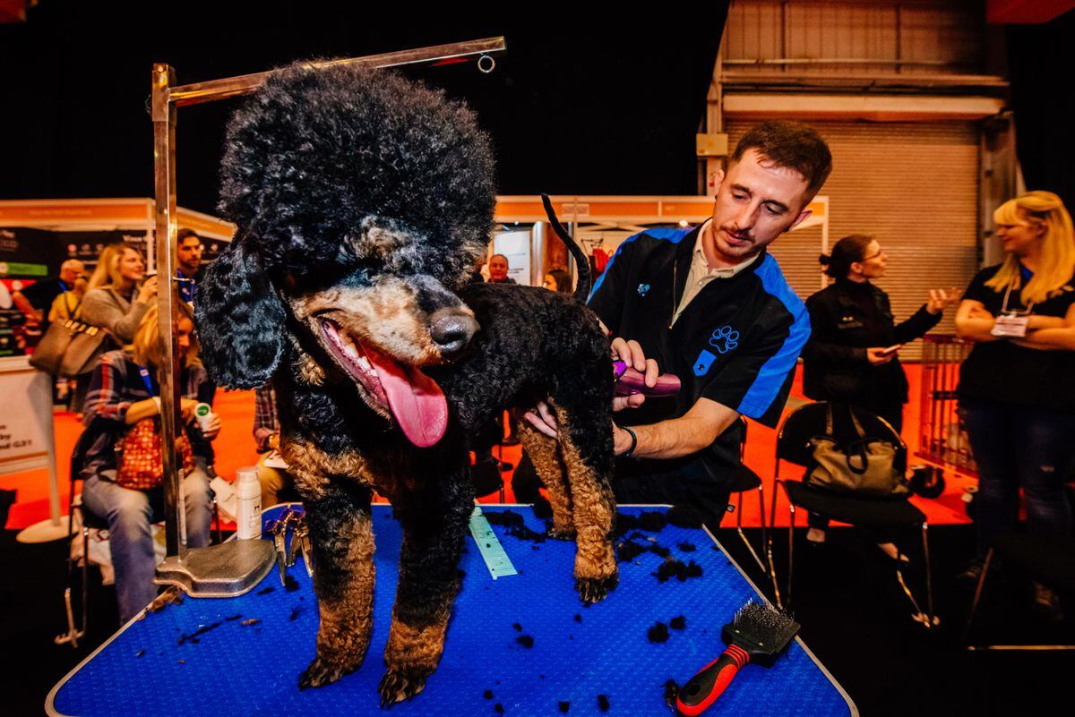 Thousands descend on pet trade show in Telford Shropshire Star