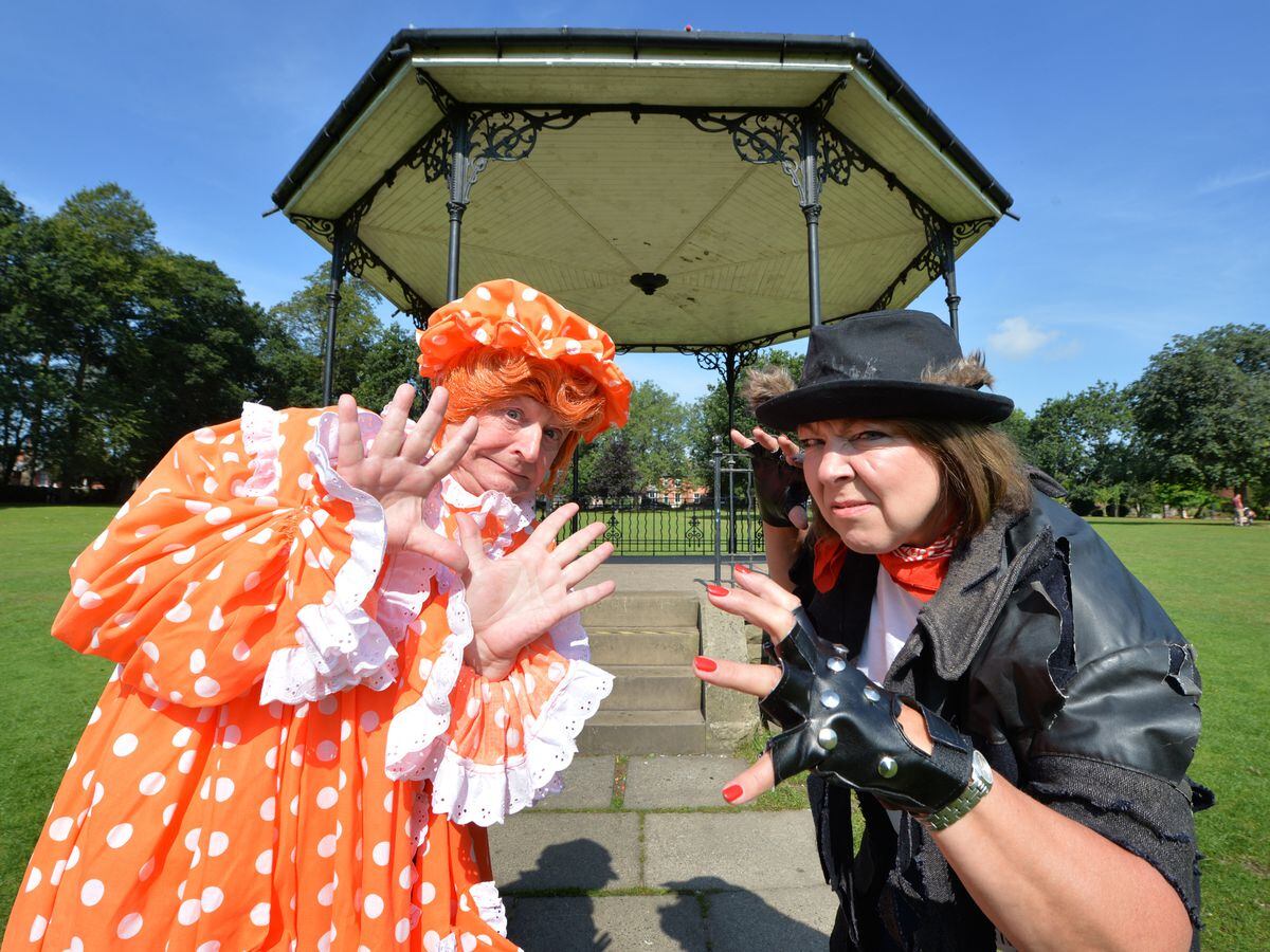 Toad of Toad Hall promises panto style fun in free production ...
