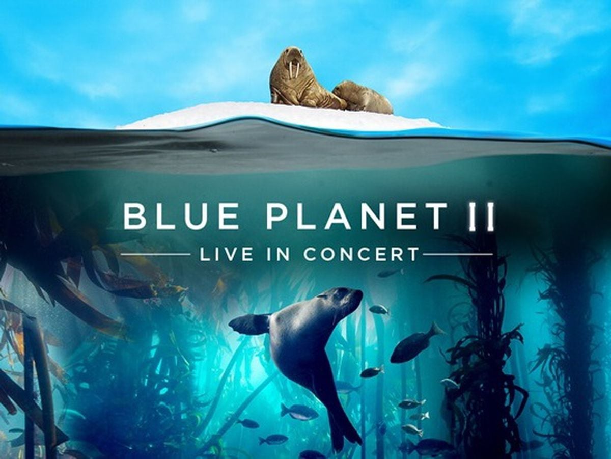 stream blue planet 3k