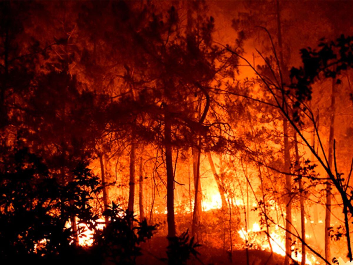 Trees burn as fire breaks out near Poldezac in southern France