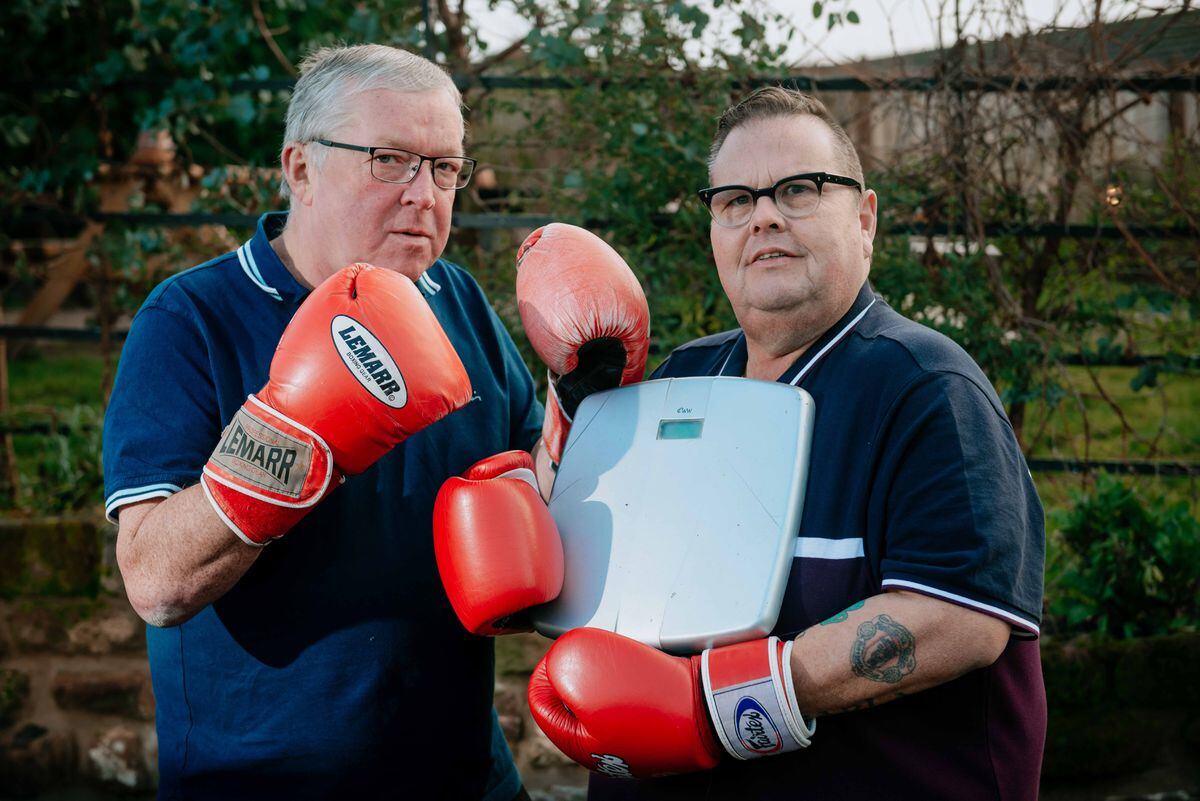 Lemarr sales boxing gloves