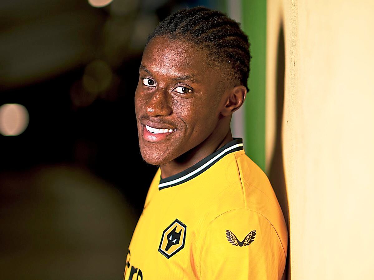 Wolves' £13 million signing could now 'prove to be a superb signing' near Molineux