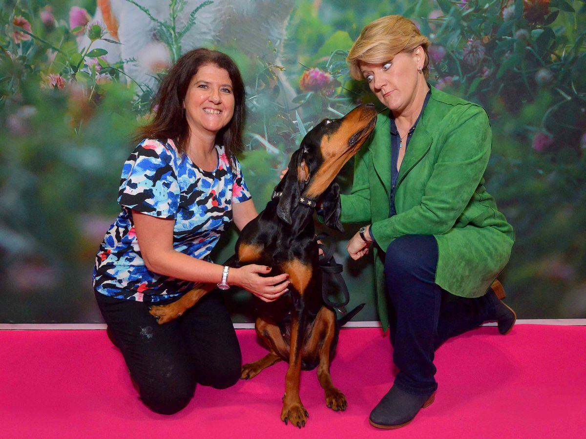 what dog has won crufts 2019