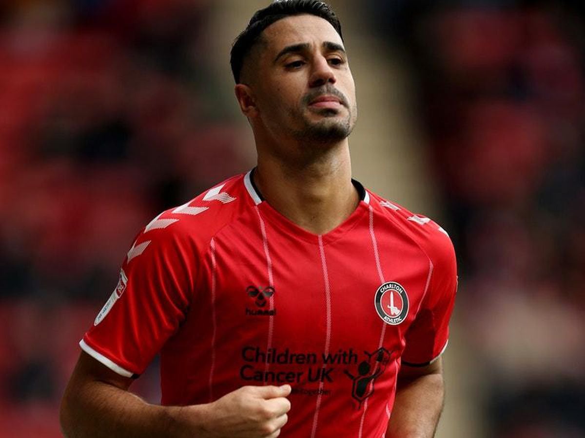 Beram Kayal Back At Brighton As Charlton Loan Is Cut Short | Shropshire ...