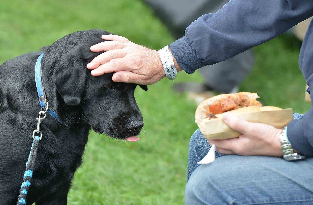 Ludlow Food Festival hailed as one of the best with video and