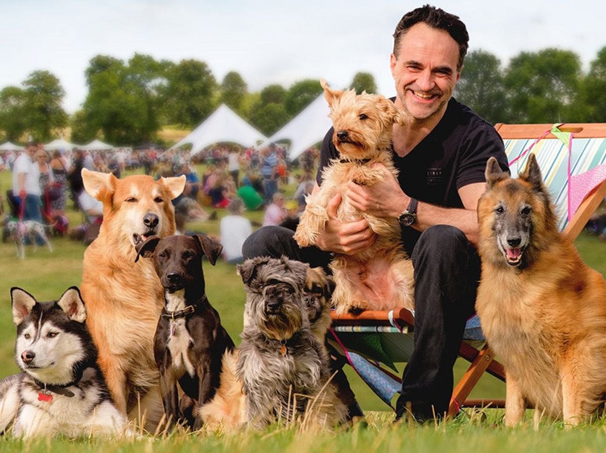 Top 10 activities to enjoy at Dog Fest 2017 Shropshire Star