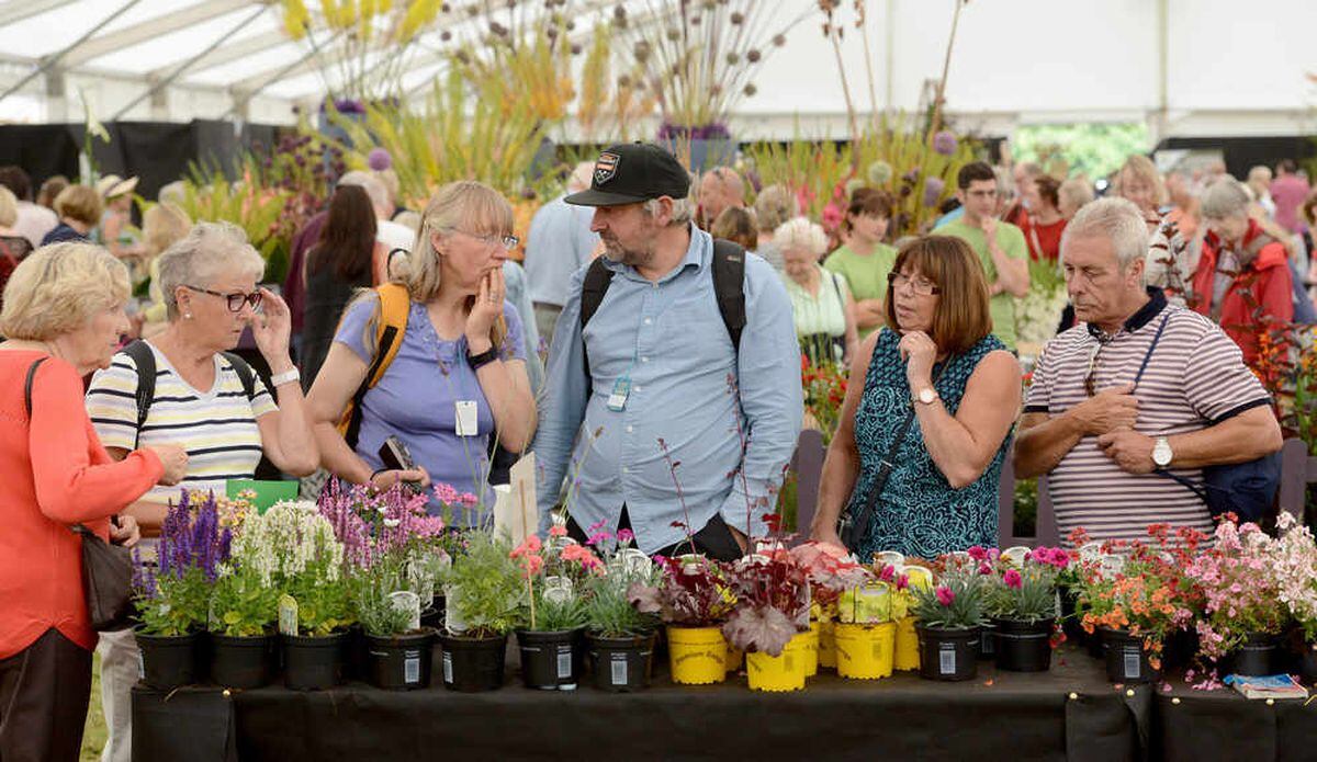 PICTURES: Crowds flock to sunny Shrewsbury Flower Show - Day one ...