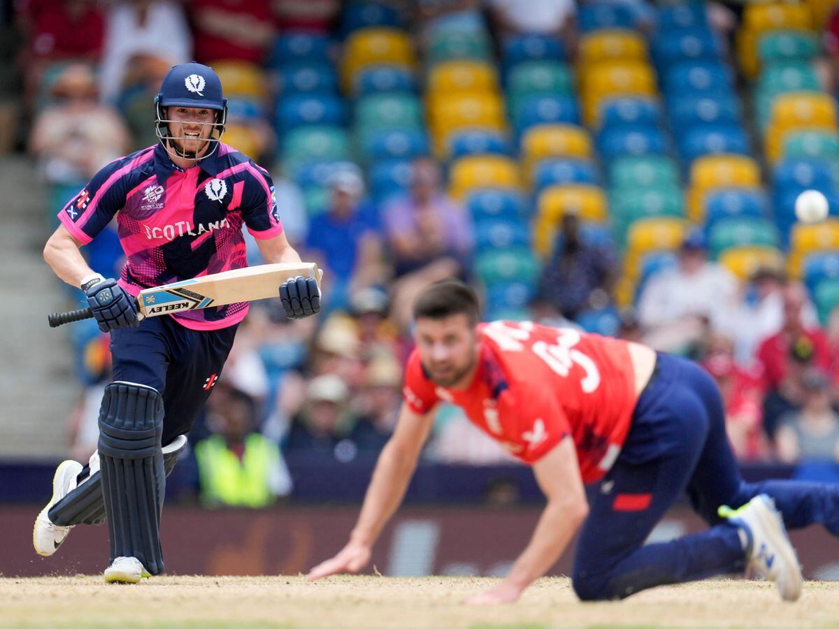 Michael Jones: Happy days if Australia want to help Scotland knock out England