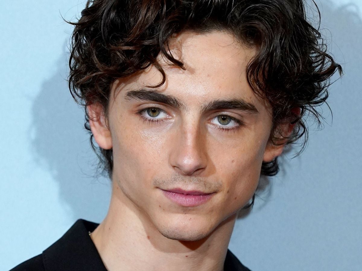 Bones and All' Trailer: Timothée Chalamet Stars in Cannibal Romance