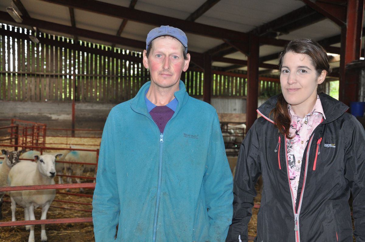 Flock health club engagement helps stamp out lameness | Shropshire Star