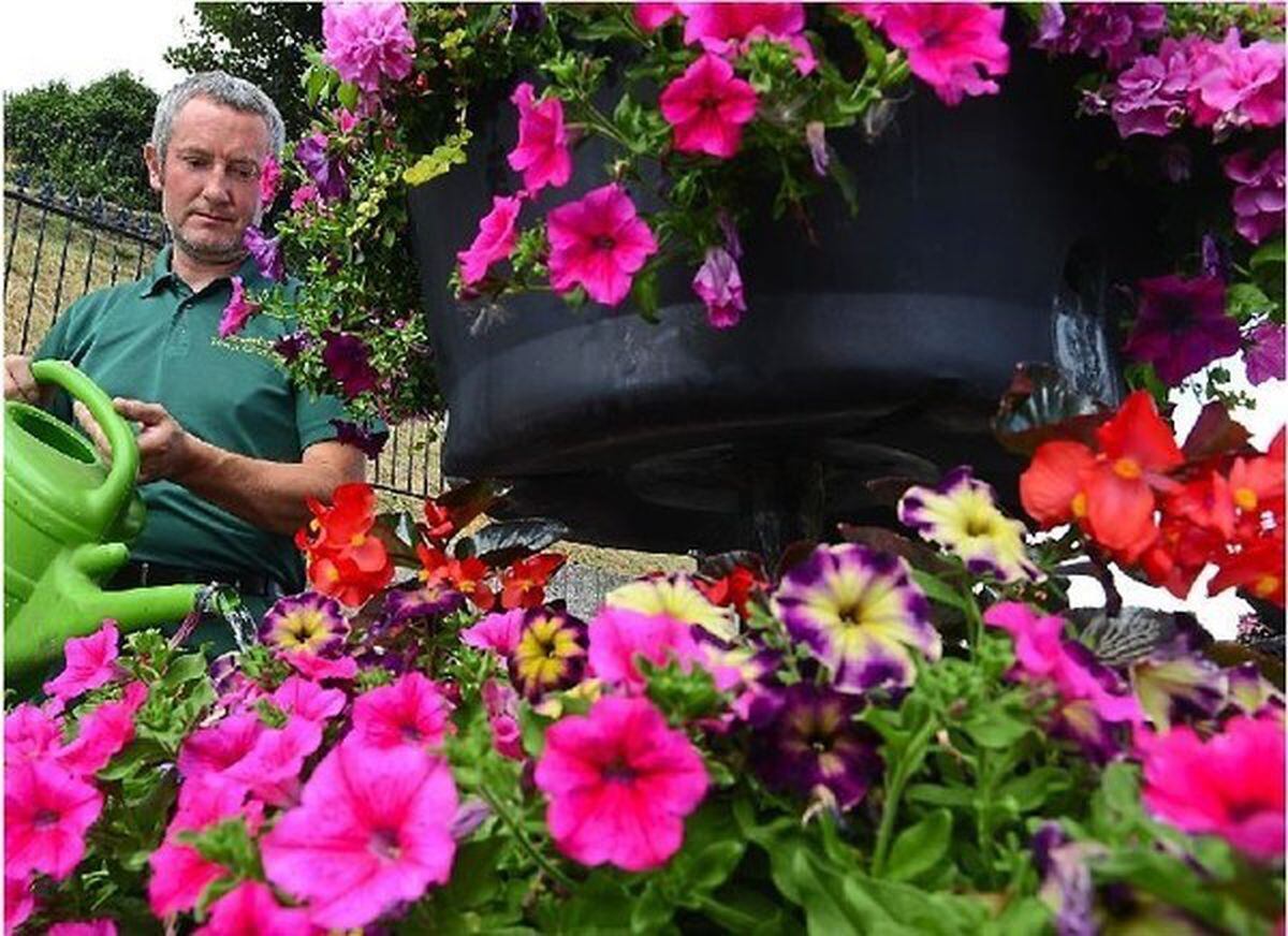 Shrewsbury strikes Britain in Bloom gold again as Oswestry wins silver ...