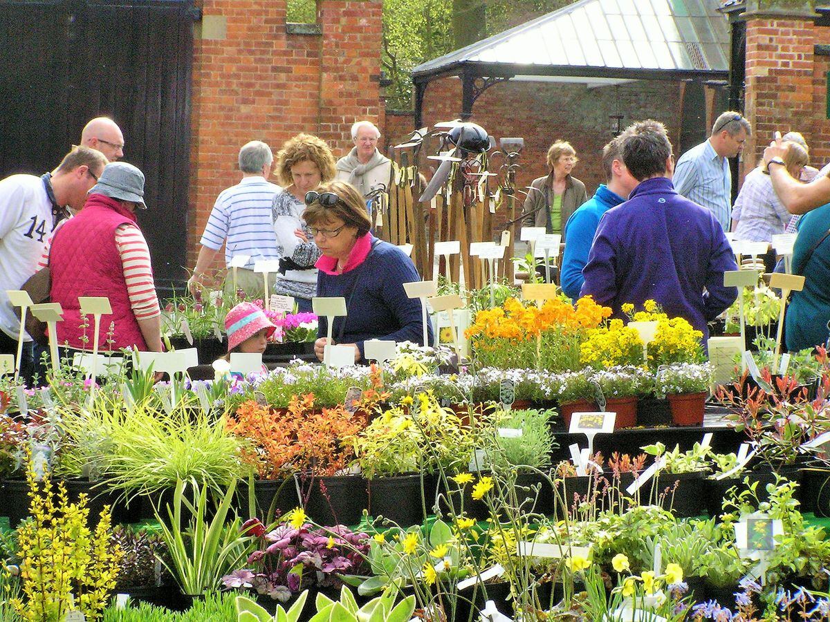 Weston Park hosts Plant Hunters’ Fair Shropshire Star