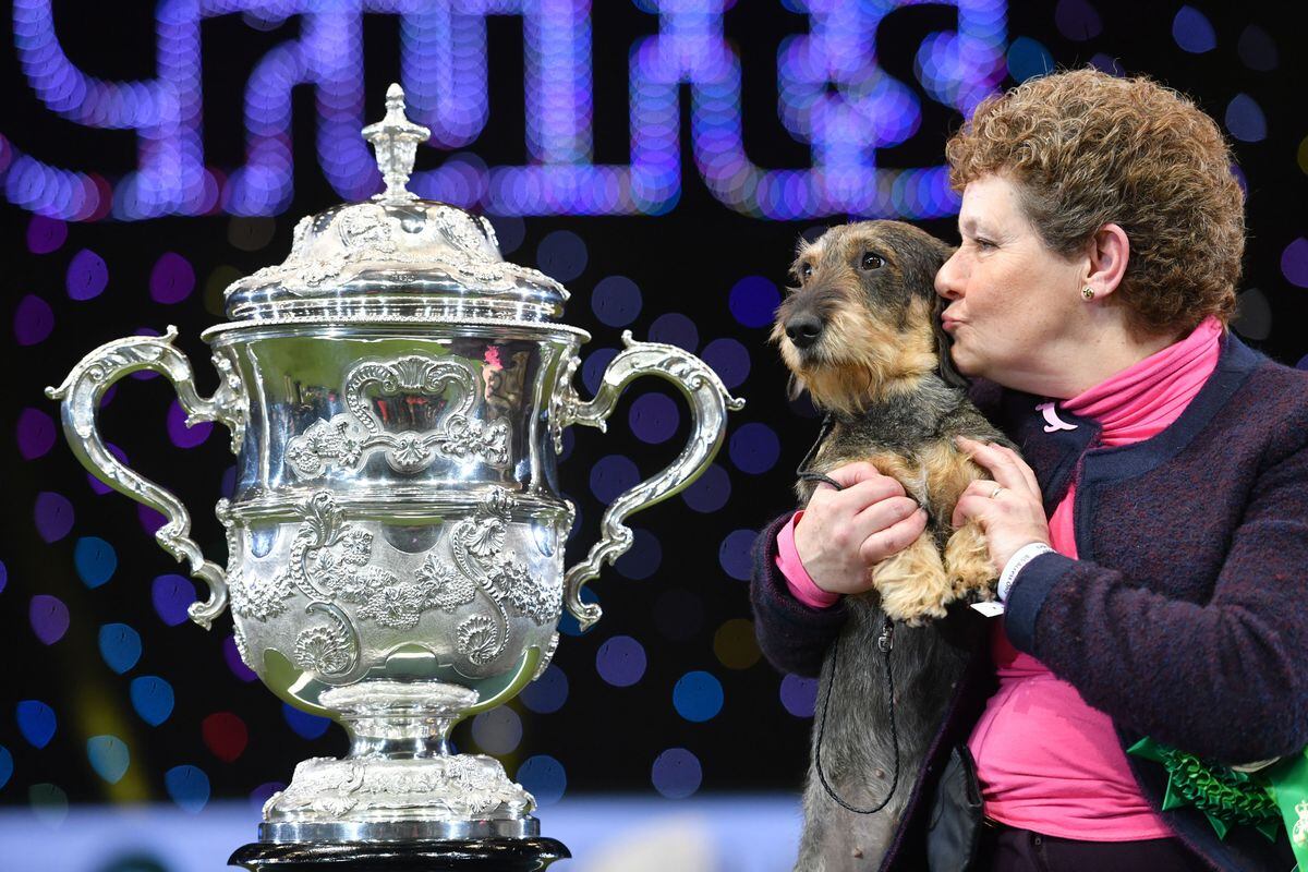 Crufts 2020: Highlights from the final day at Birmingham ...