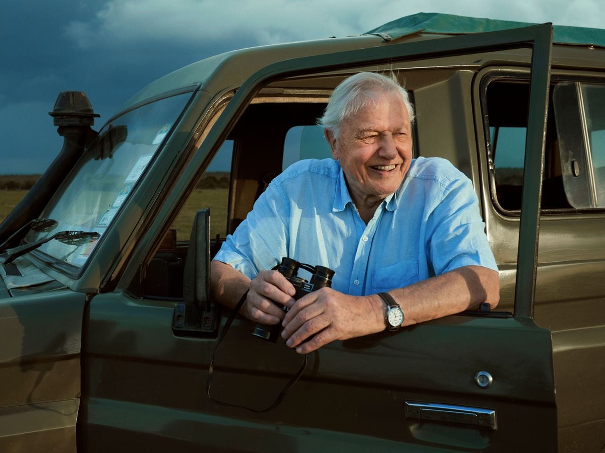 Sir David Attenborough to narrate new immersive BBC Earth Experience in