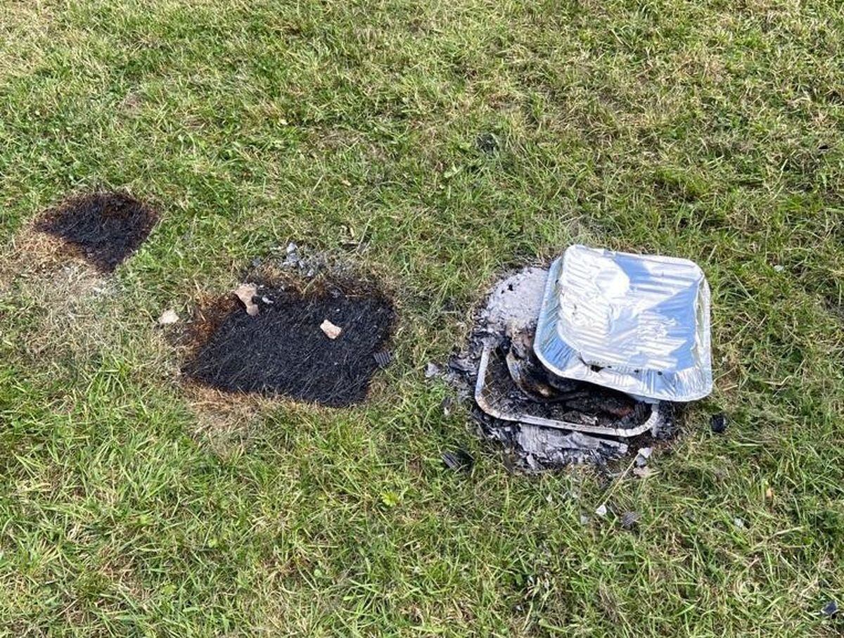 Wildfire warning after barbecues damage benches and grassland in ...