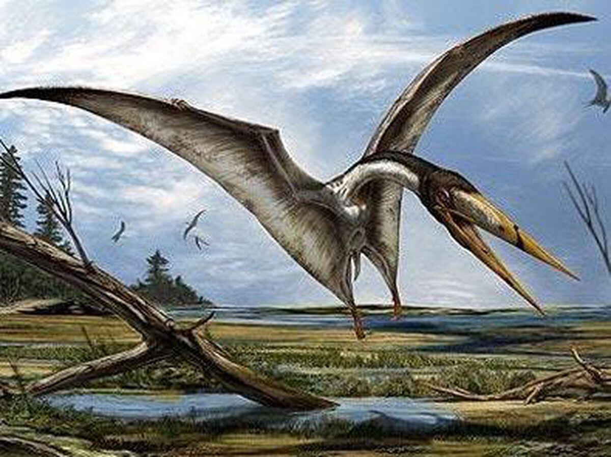 prehistoric flying reptiles