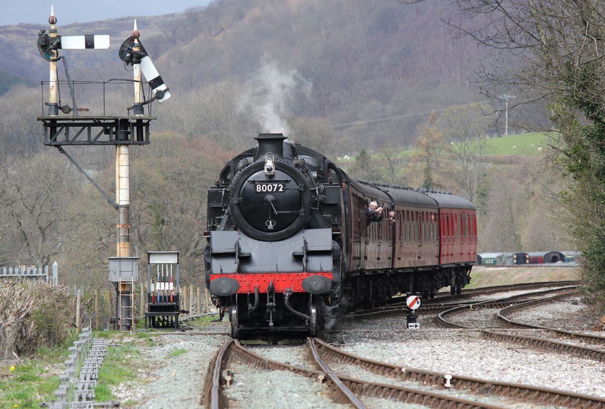 New steam railway фото 27