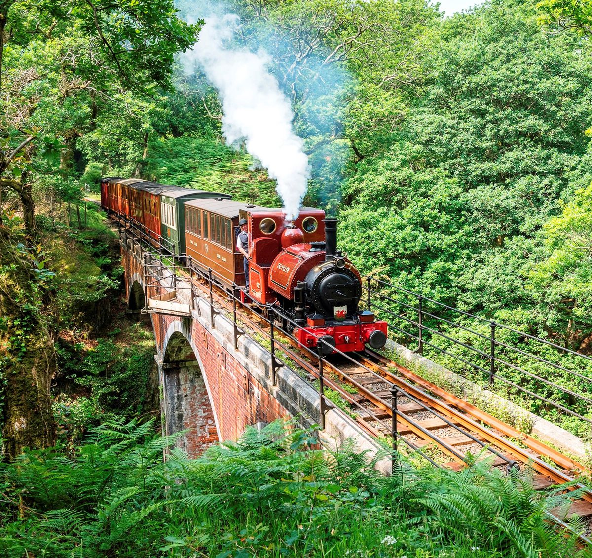 steam-railway-will-be-back-on-track-next-month-shropshire-star