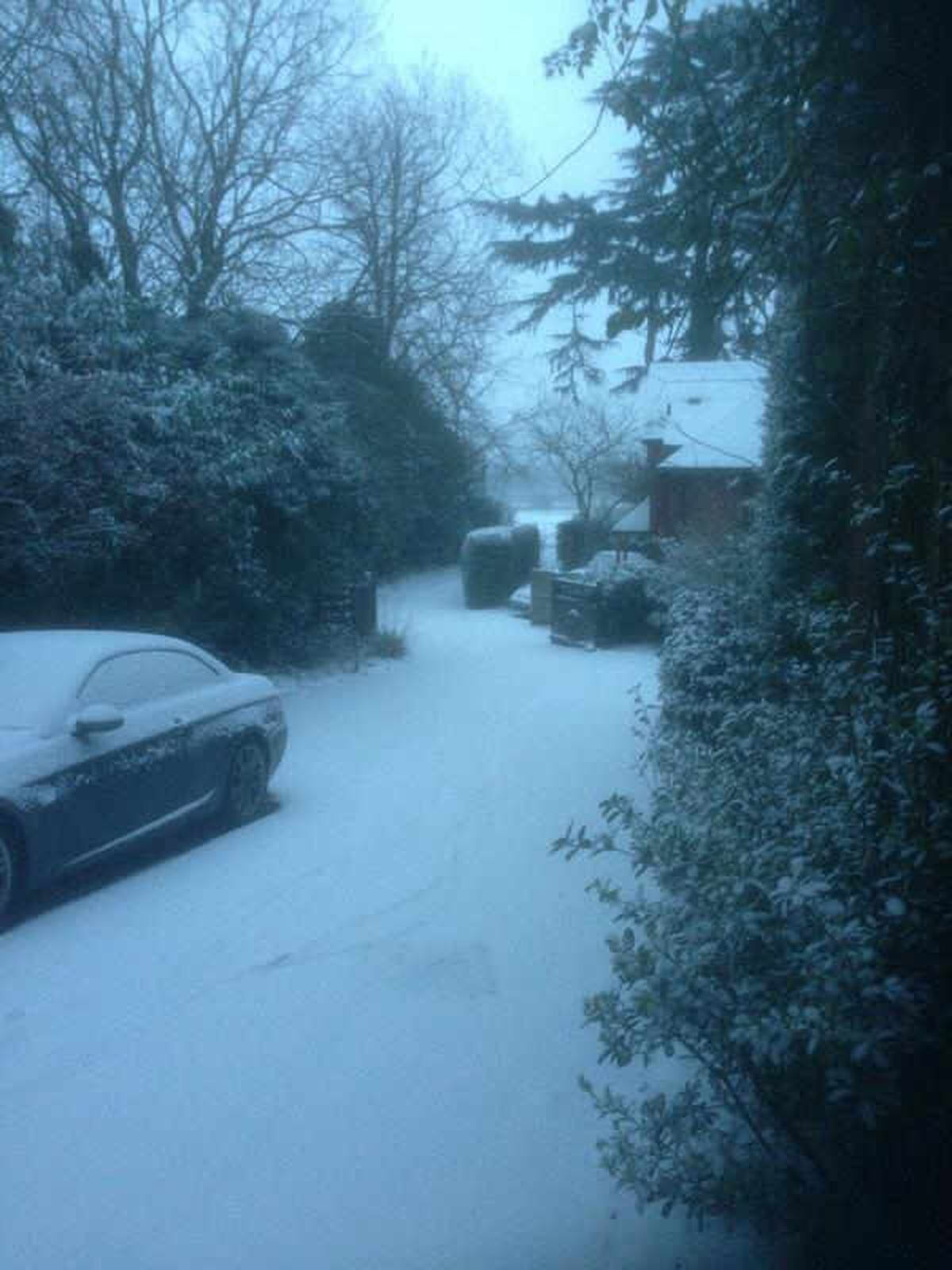 Snow arrives in Shropshire - Your pictures | Shropshire Star