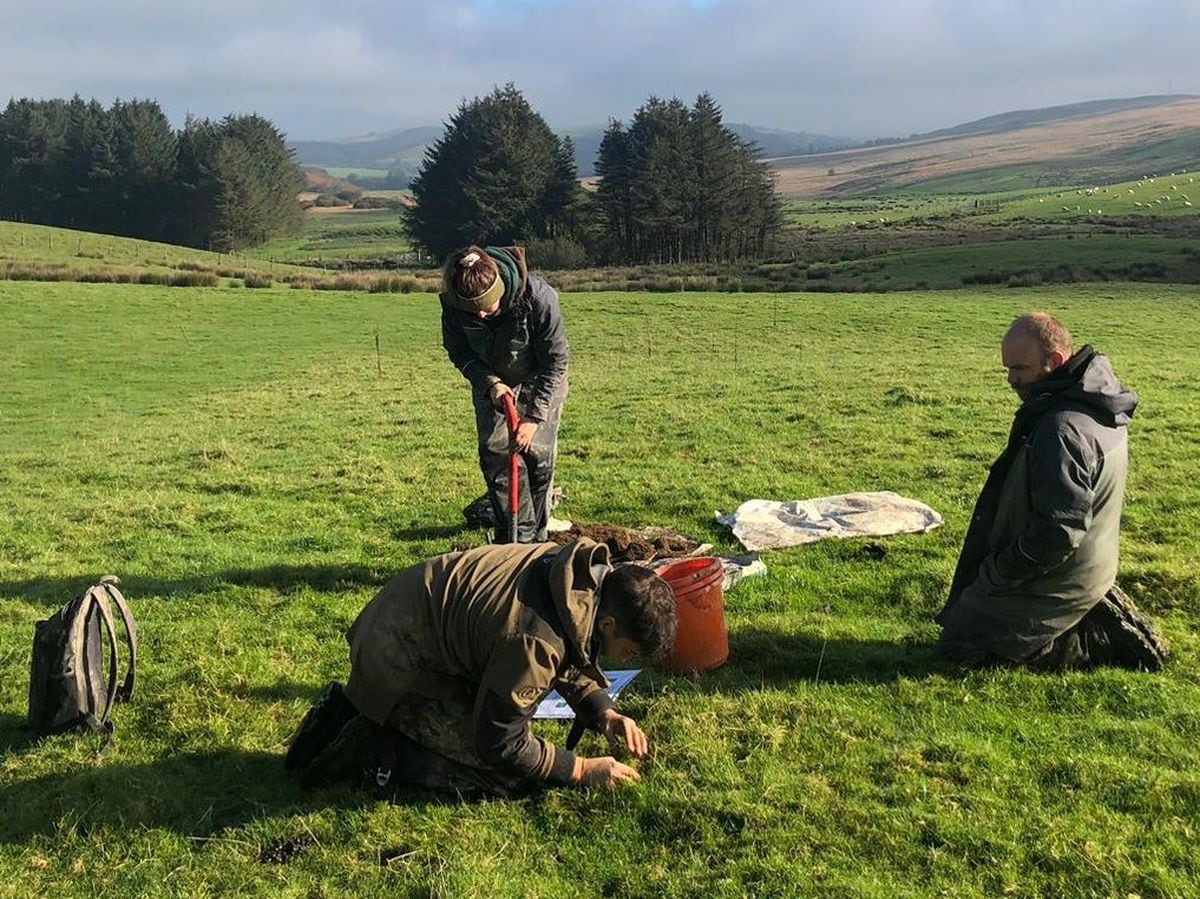 Soil in spotlight at farming masterclass in Newtown | Shropshire Star