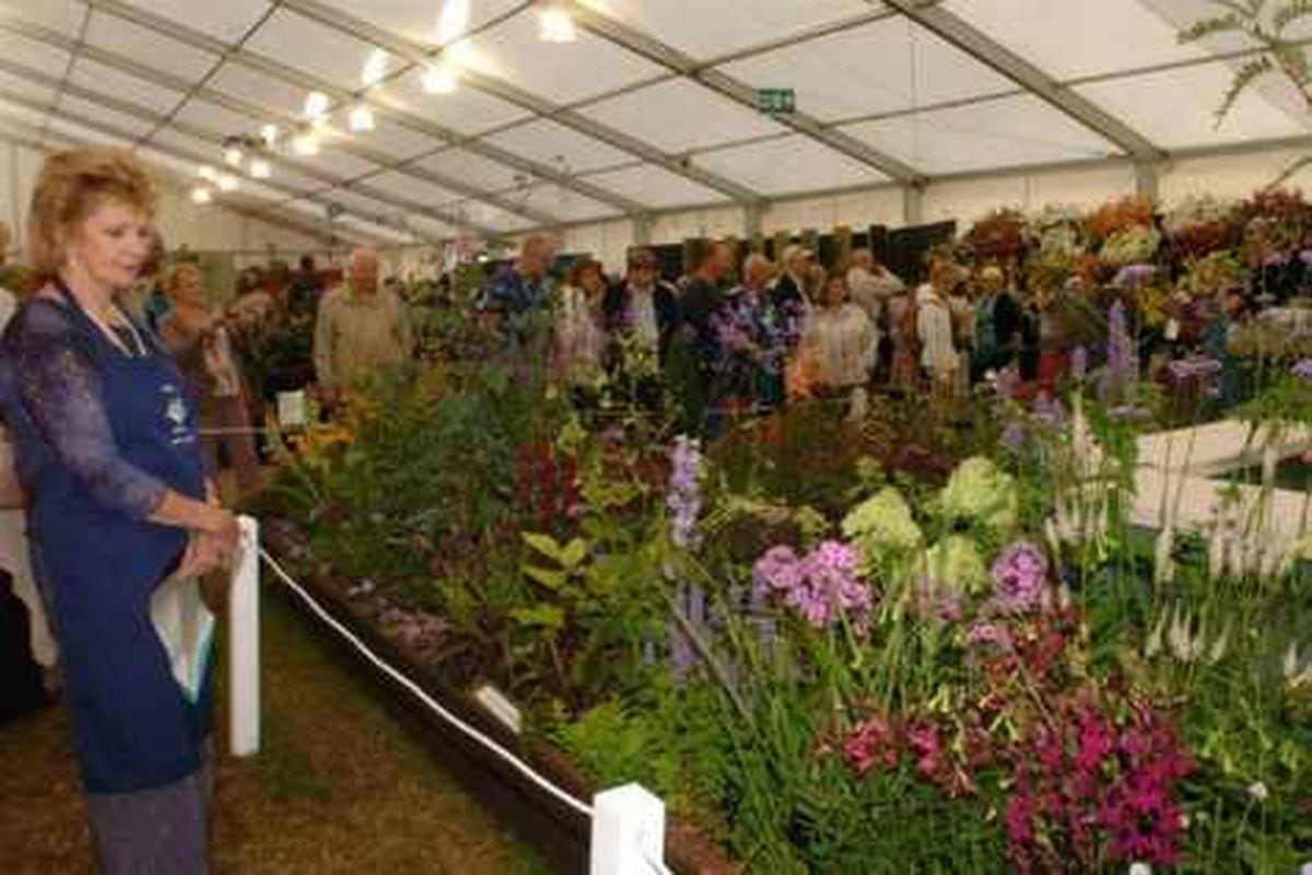 Shrewsbury Flower Show hoping for bumper crowds Shropshire Star