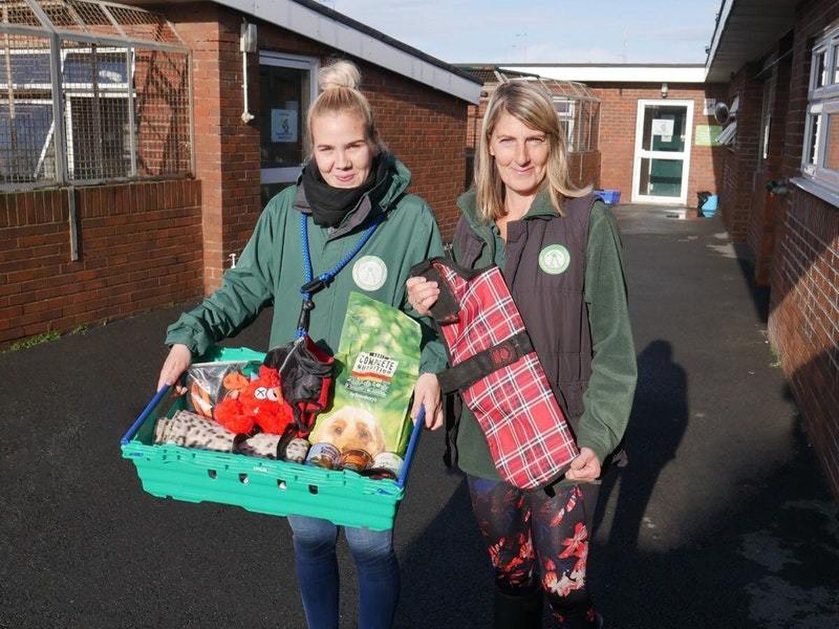 Cat and dog home launches pet food bank Shropshire Star